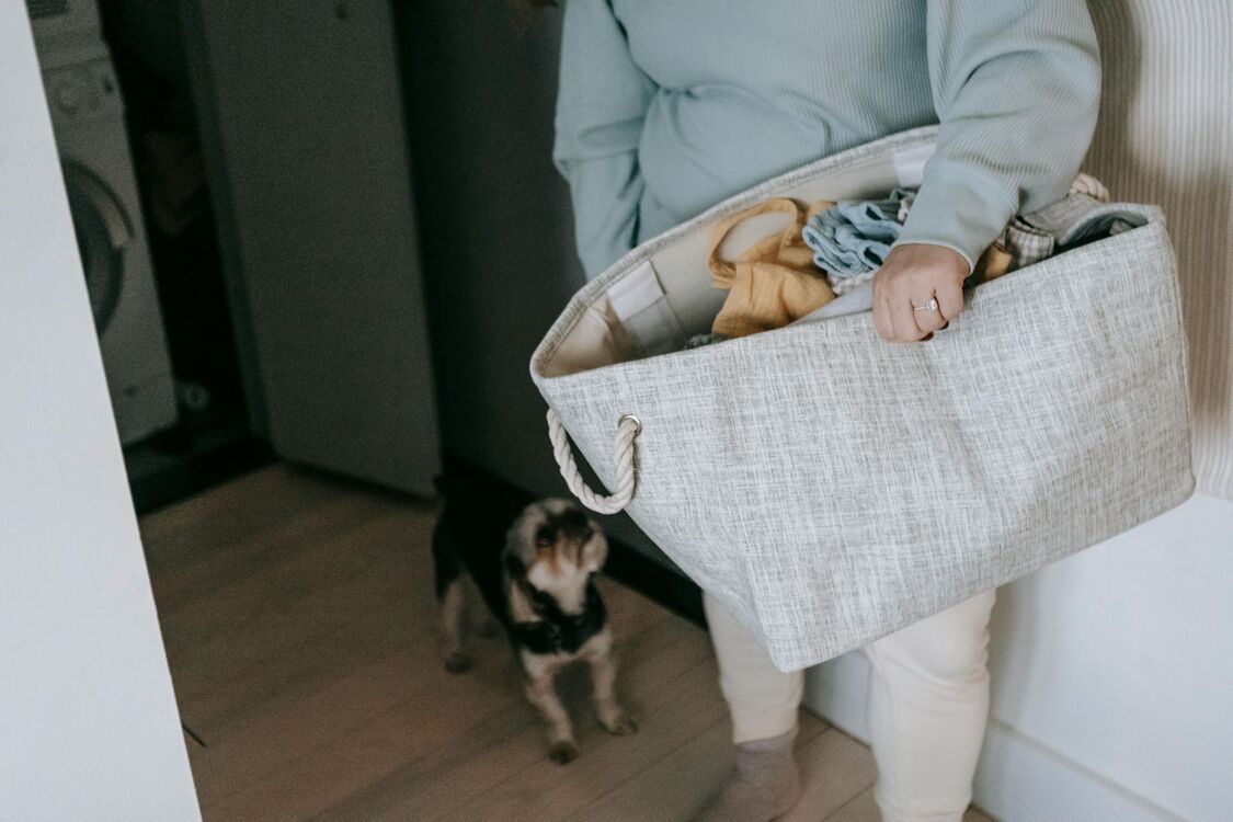 Small dog standing on a wood floor behind its owner 